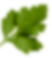 rev_home5_5.png